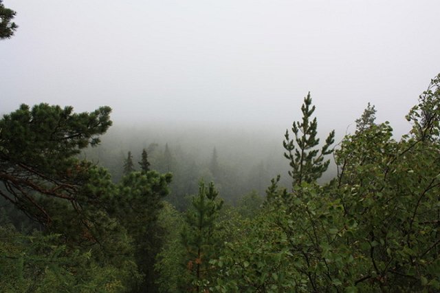 В горах Южного Урала пропал 10-летний мальчик