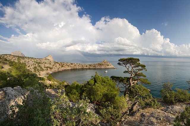 Все крымские пляжи должны быть открыты до 25 июня