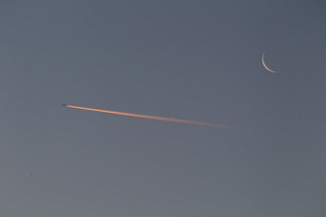 Пассажир устроил дебош на борту рейса Екатеринбург — Пхукет