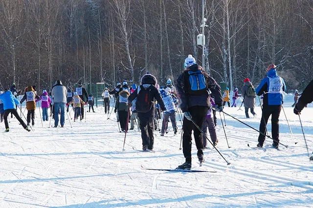 Исполняющим обязанности директора ЦПКиО стал заместитель генерала Шадрина