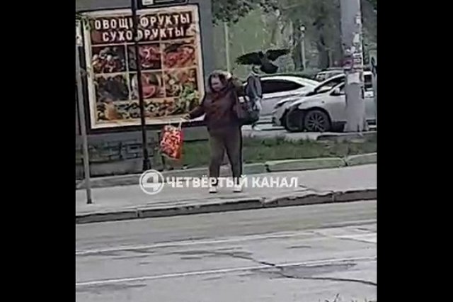 В Екатеринбурге разъяренные птицы напали на женщину