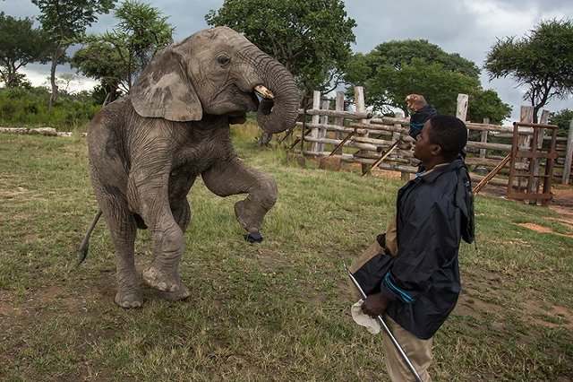 Африканцы пожаловались на слишком маленькие китайские презервативы