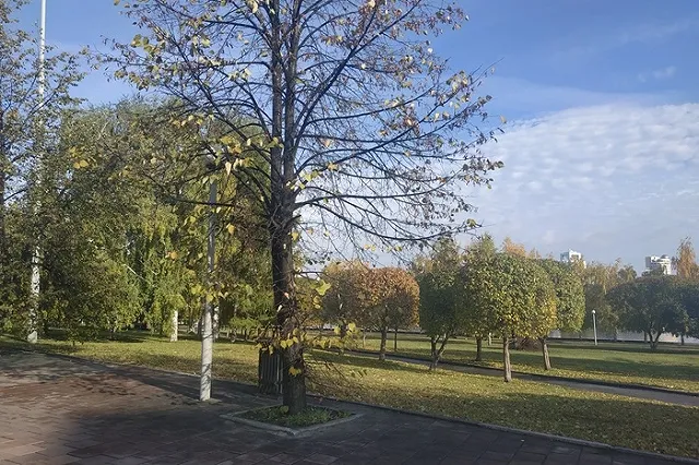 Сквер у Театра Драмы перестал иметь статус религиозного назначения