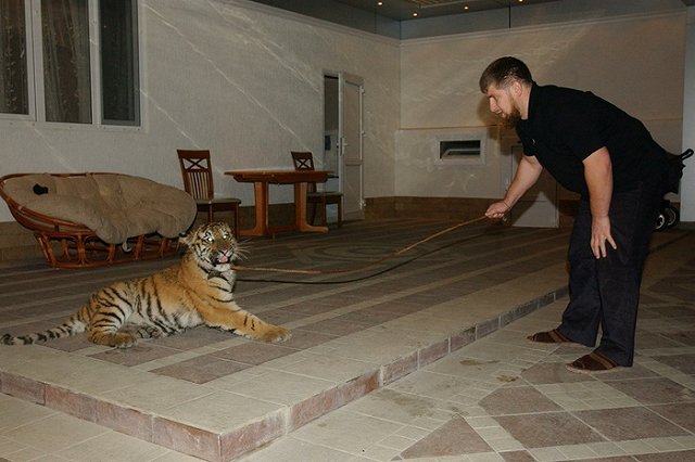 Кадыров попросил подготовить для врагов России VIP-места в психбольницах