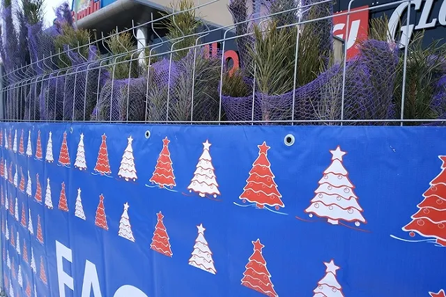 Первые базары с живыми елками начали открываться в Екатеринбурге