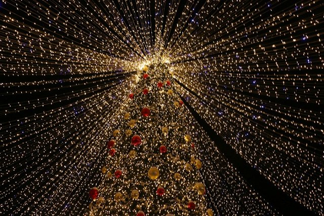 Биологи: Светодиодное освещение губительно для жизнедеятельности