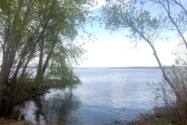 В УрГАХА раскритиковали проект благоустройства Шарташского лесопарка