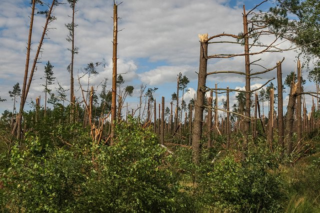 Россия испытала в Сирии накрывающую залпом сто футбольных полей РСЗО