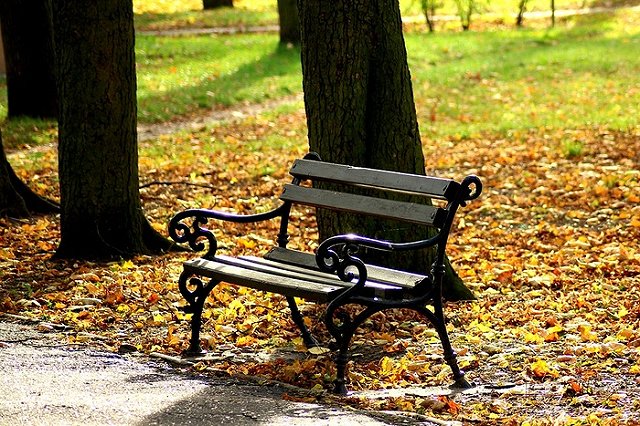 В Екатеринбурге воришка обокрал присевшего на скамейку мужчину