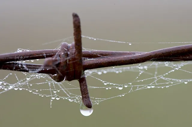 Семья убитой модели отсудила у Лошагина 2,5 миллиона рублей компенсации