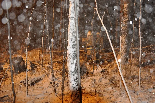 Останки всех девяти погибших найдены на месте крушения Ан-12 под Иркутском