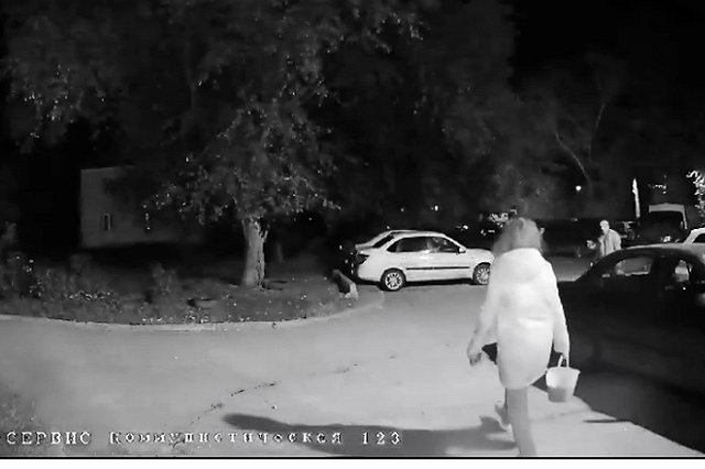 В Екатеринбурге задержали мужчину, который зарезал собаку