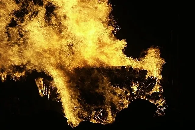 Свердловчанин облил керосином кошек бывшей жены, а потом устроил пожар