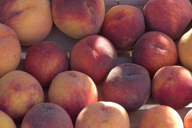 Прокуратуру могут привлечь к уничтожению санкционных продуктов