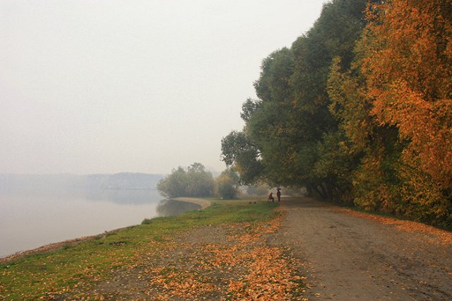 На Шарташе ради велодорожки готовятся рубить деревья и сносить коттеджи
