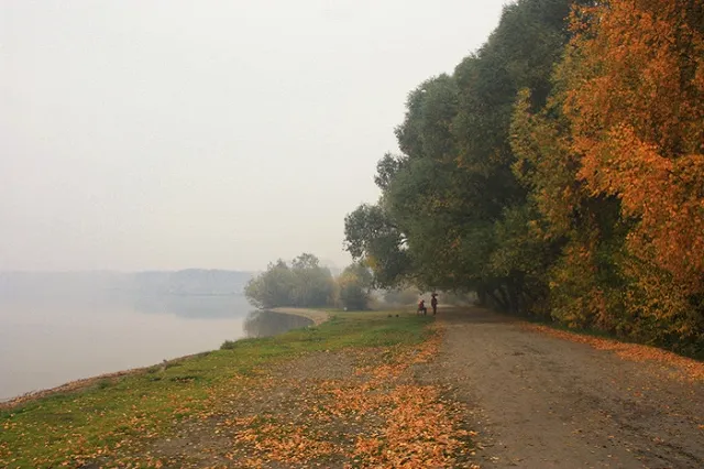 На Шарташе ради велодорожки готовятся рубить деревья и сносить коттеджи