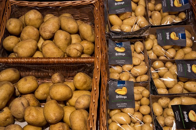 На Урале будут производить собственные семена картофеля