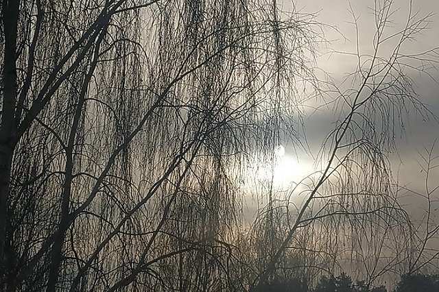 «Это затмение?» На небе вдруг исчезло солнце