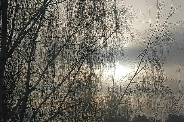 «Это затмение?» На небе вдруг исчезло солнце