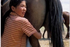 ООН призвала чаще пить лосиное и ослиное молоко