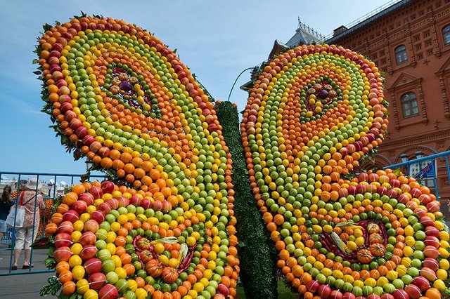 Фермеры Уральского региона везут продукцию на главную площадь Екатеринбурга