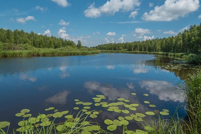 Гидрометцентр России пообещал теплый август