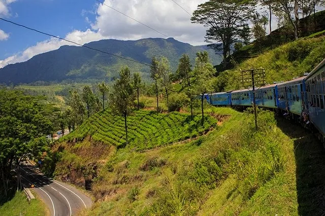 Турагентства пожаловались на «вбросы» о повторном введении ограничений на поездки