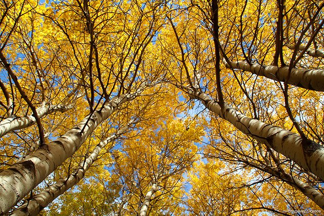 Уральцев предупредили о погодном сюрпризе осенью