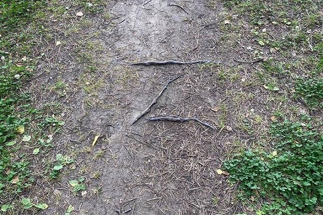 В Германии задержали мужчину за демонстрацию буквы Z