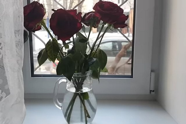 В Екатеринбурге врач-терапевт уговорила мужа перевести мошенникам 7,5 миллиона рублей