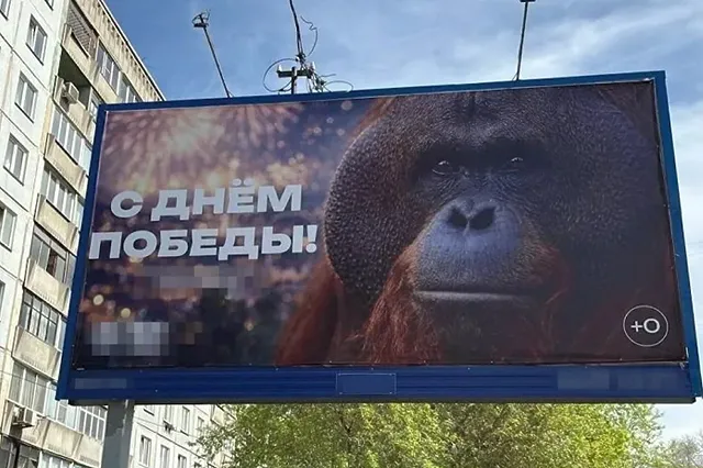 Зоопарк Новосибирска разместил на баннере ко Дню Победы местного орангутана