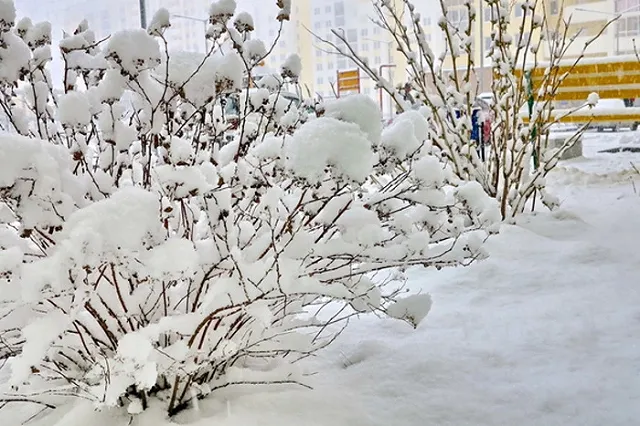 УГИБДД сообщает о затруднениях в движении на Серовском тракте