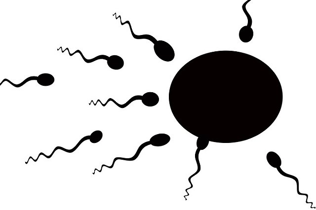 После «Путешествия сперматозоида» тюменская школа готова судиться за свою честь