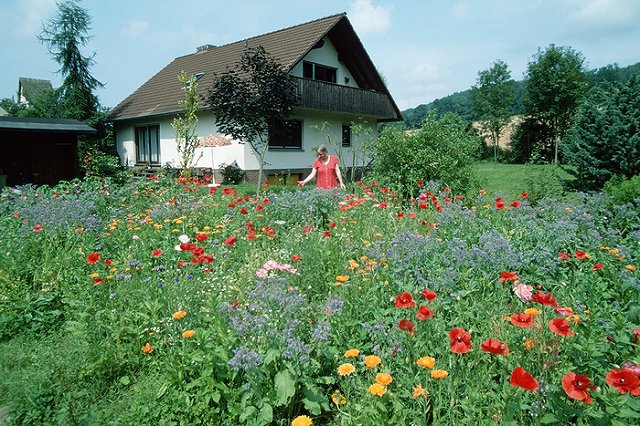 Спешите строить! Что изменится с новым законом о садоводстве и огородничестве?