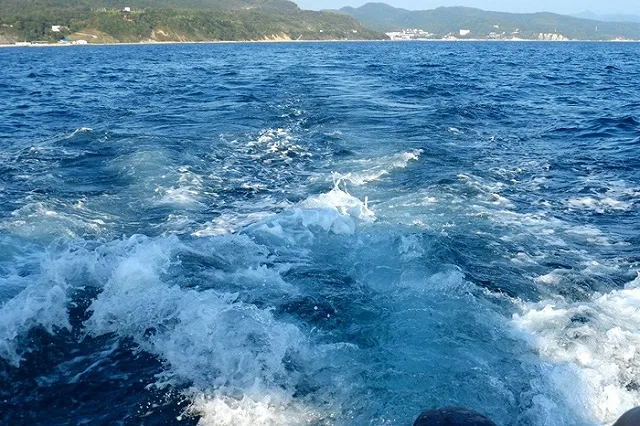 Накануне в Черном море перевернулся катамаран. Две пассажирки погибли