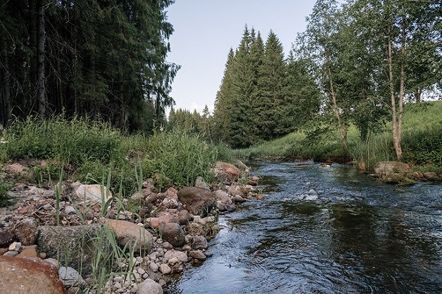 На Южном Урале в ручье утонул ребенок