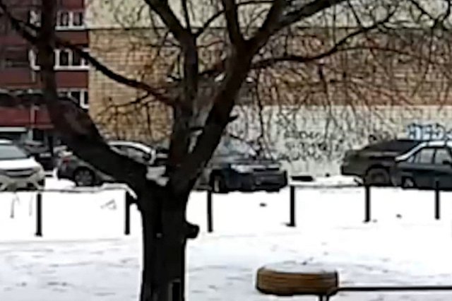 Появилось видео, как высокопоставленный полицейский насмерть сбил женщину в Екатеринбурге