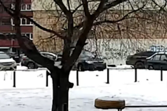 Появилось видео, как высокопоставленный полицейский насмерть сбил женщину в Екатеринбурге