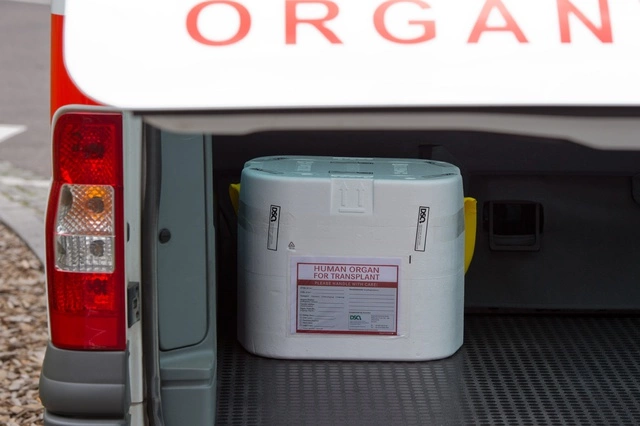 Московские врачи пустили екатеринбурженку на органы