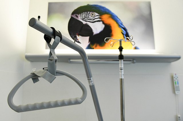 Социальное такси для лежачих больных запустят в России