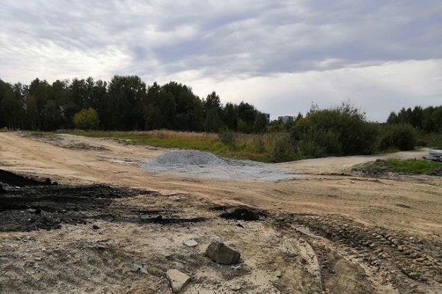 Вход в Шарташский лесопарк станет платным
