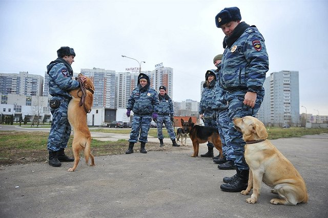 Поиски пропавшей полуторагодовалой девочки продолжаются в Свердловской области