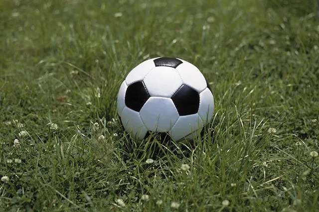 Сборная России уступила чехам в товарищеском матче