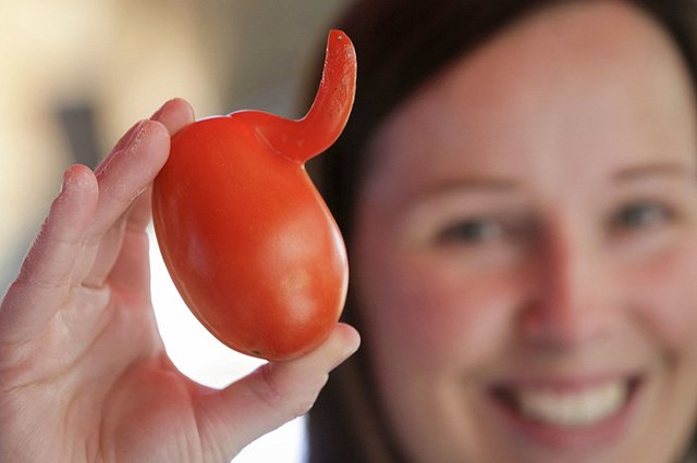 Турецкие помидоры могут вернуться в Россию уже в сентябре