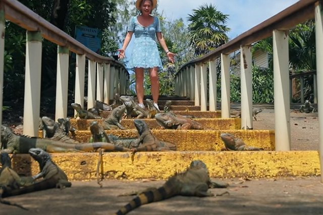 Албания и Гондурас прекратили торговлю со Свердловской областью