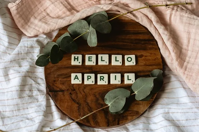 Какие законы вступают в России в силу с 1 апреля 2023 года