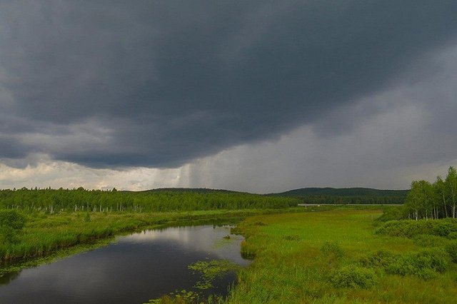 Синоптик предсказал свердловчанам дожди