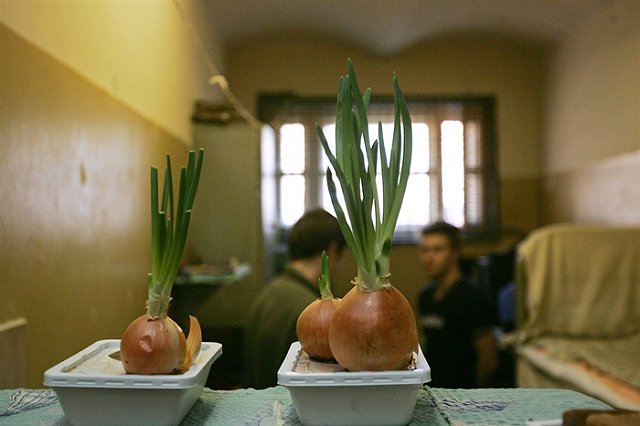 Дебошир Игорь «Ты кому сигналишь, дядя» Новоселов снова предстанет перед судом