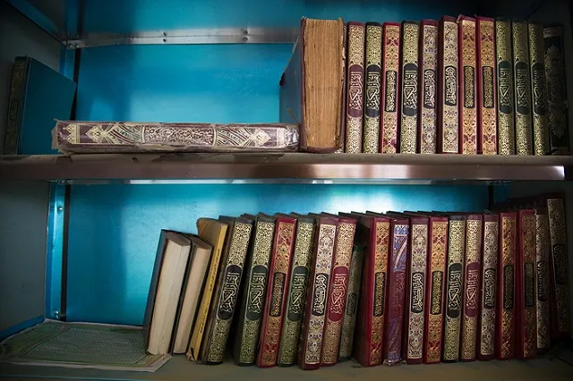 Всемирный банк отметил высокий уровень образования среди наемников ИГ