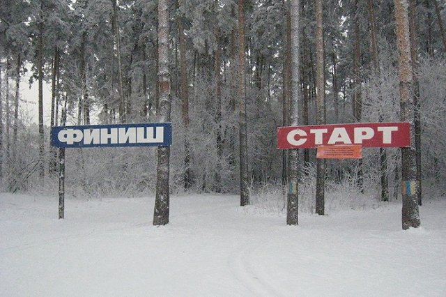 Директора Шарташского лесопарка выберут на этой неделе